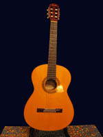 Fender Nylon - Semi-Acoustic