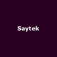 Saytek