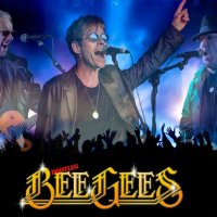 The Bootleg Bee Gees