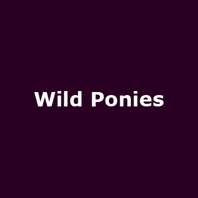 Wild Ponies