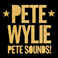 Pete Wylie