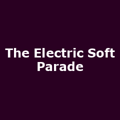The Electric Soft Parade - Image: www.electricsoftparade.co.uk