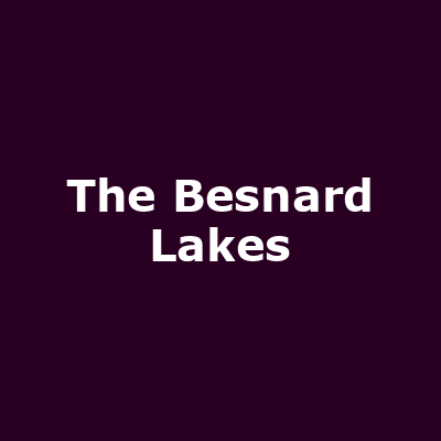 The Besnard Lakes