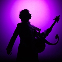 New Purple Celebration - The Music of Prince