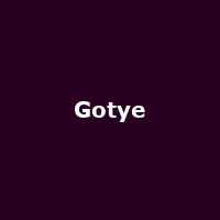 Gotye