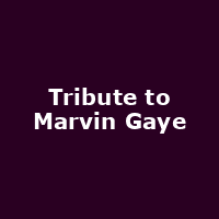 Tribute to Marvin Gaye