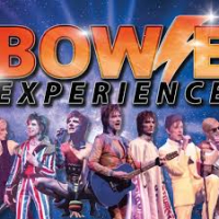 The Bowie Experience [band]
