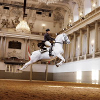 The Spanish Riding School of Vienna, Nicki Chapman