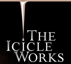 The Icicle Works - Image: www.myspace.com/ianmcnabbtheicicleworks