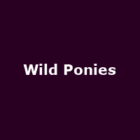 Wild Ponies