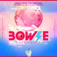 Bowie Experience [show]