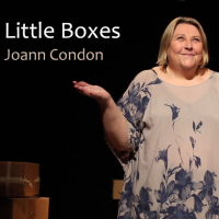 Little Boxes [Joann Condon]