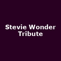 Stevie Wonder Tribute